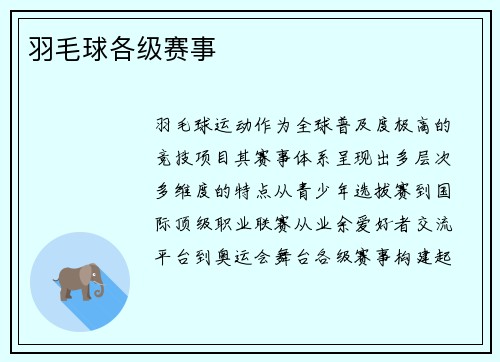 羽毛球各级赛事